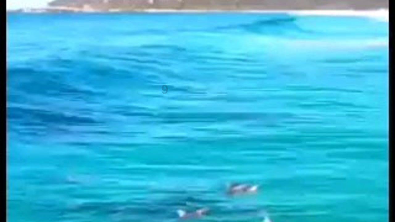 嘉日单词